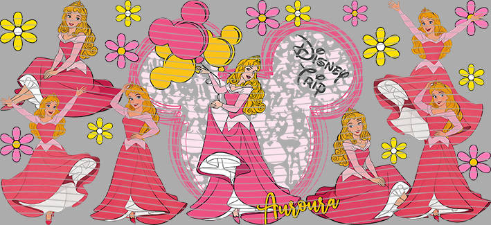 16oz Disney style-D-1223